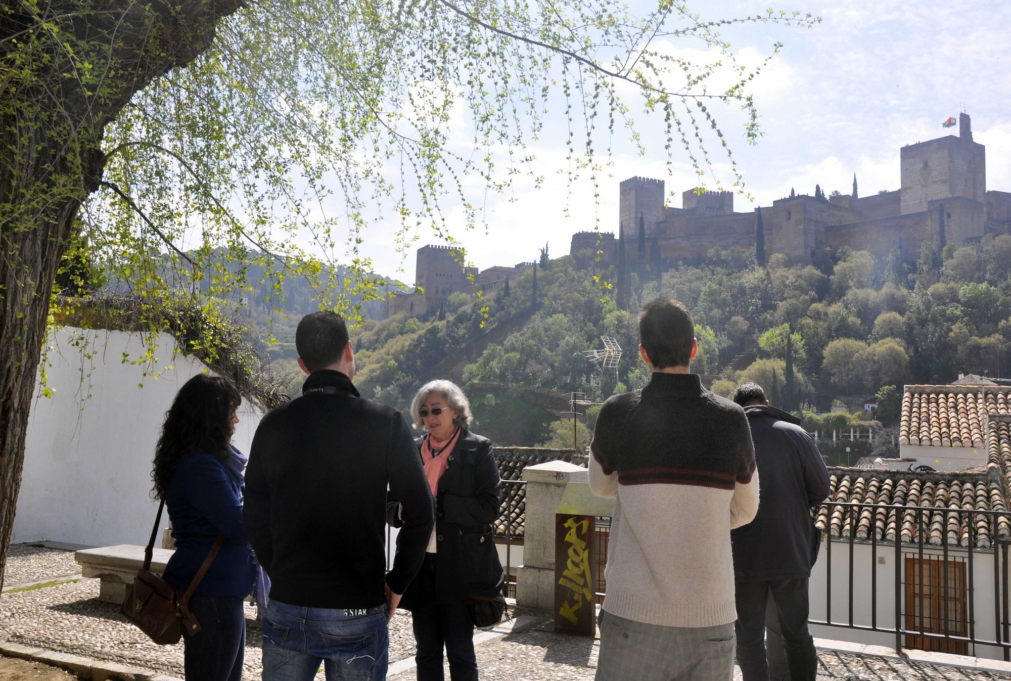 guided tours private groups granada